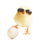 Osterferienaktion